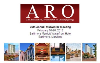 Hyperacusis Workshop at 2013 ARO Midwinter Meeting