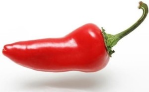 Could the investigation of hot chili peppers help understand hyperacusis pain?