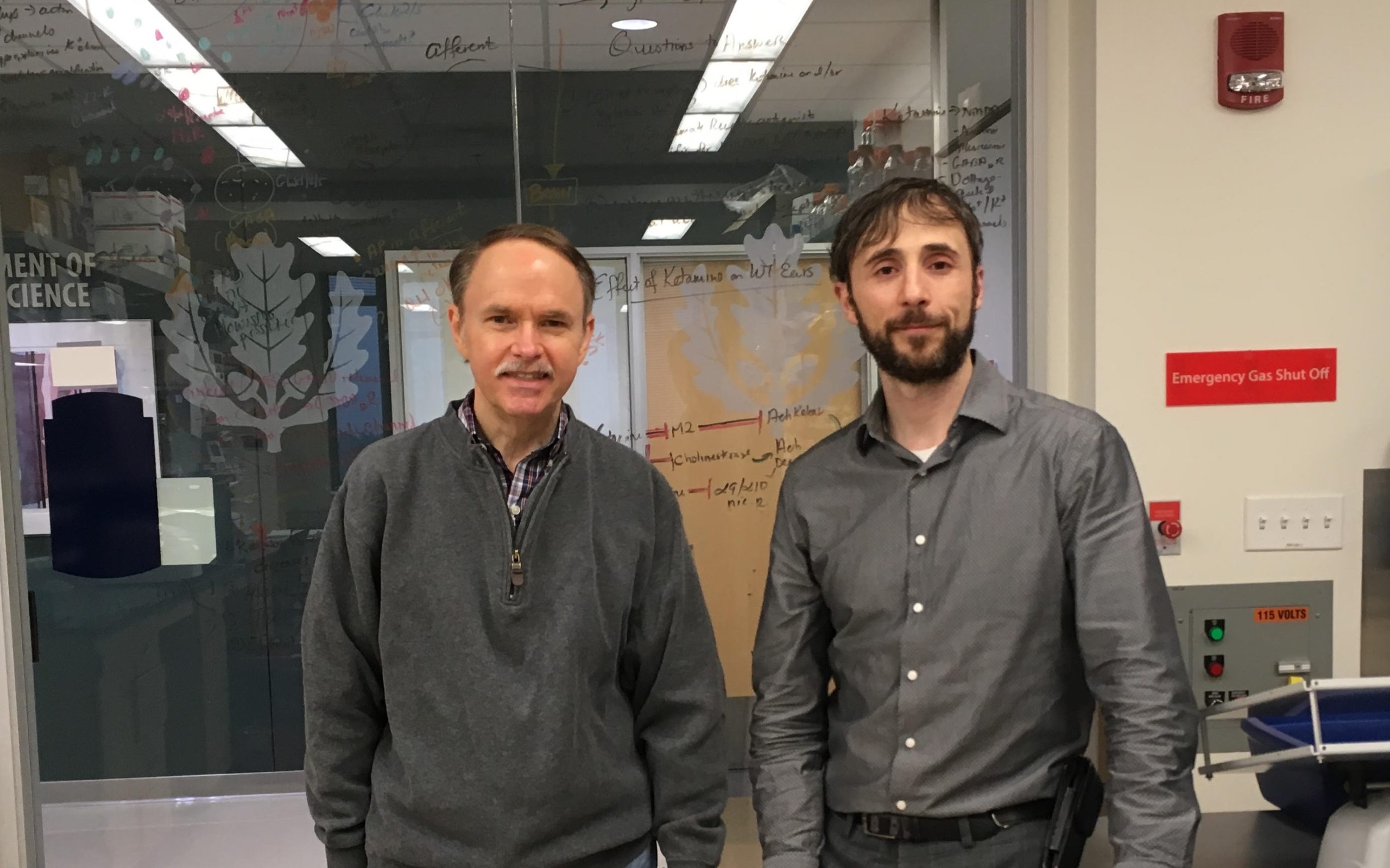 Hyperacusis Research Supports 2019 Research Grant